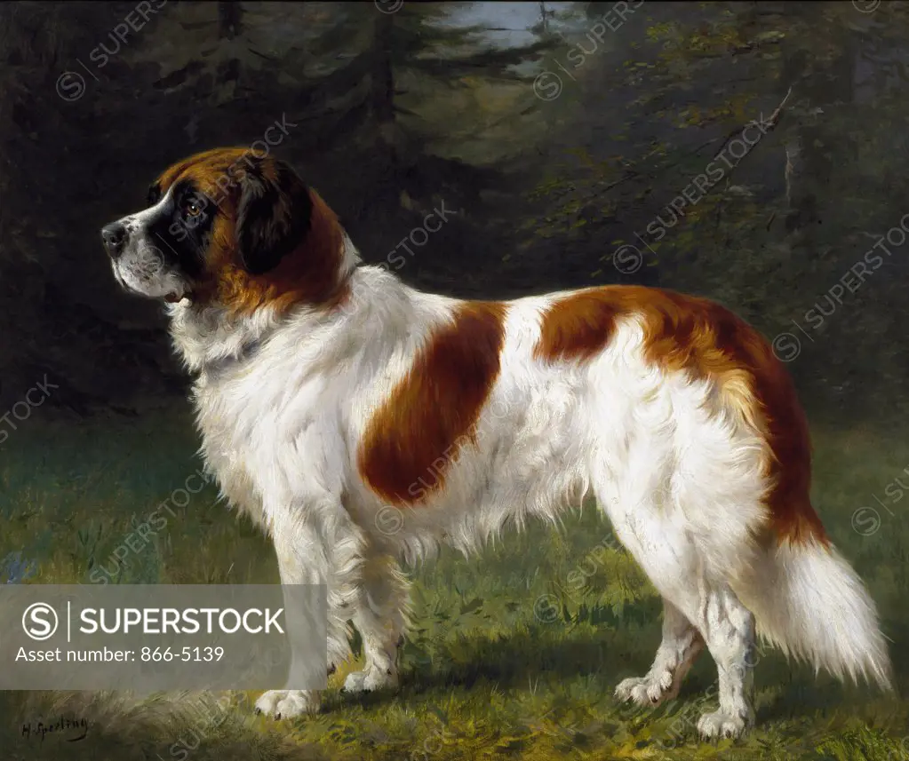 A St. Bernard On The Edge Of A Wood Sperling, Heinrich (1844-1924) Oil On Canvas Christie's Images, London, England