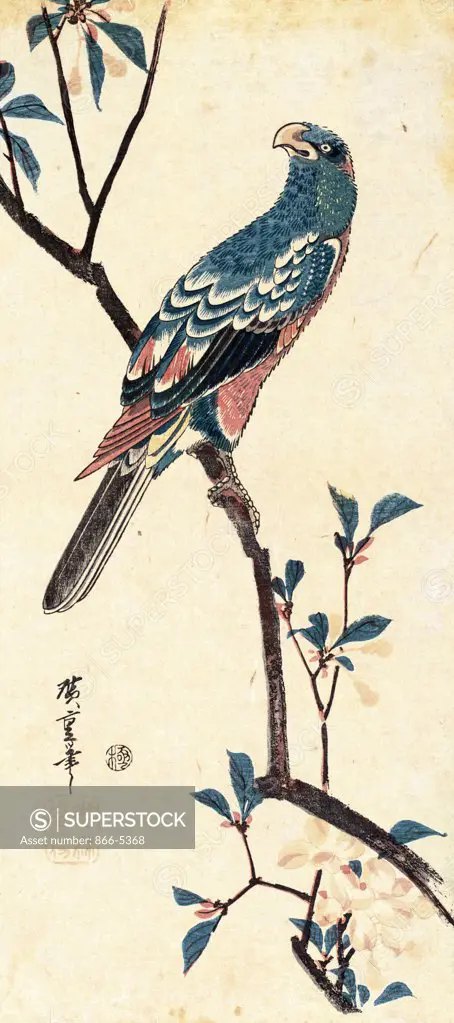 Study of a Bird Utagawa Hiroshige (1797-1858 Japanese) Print
