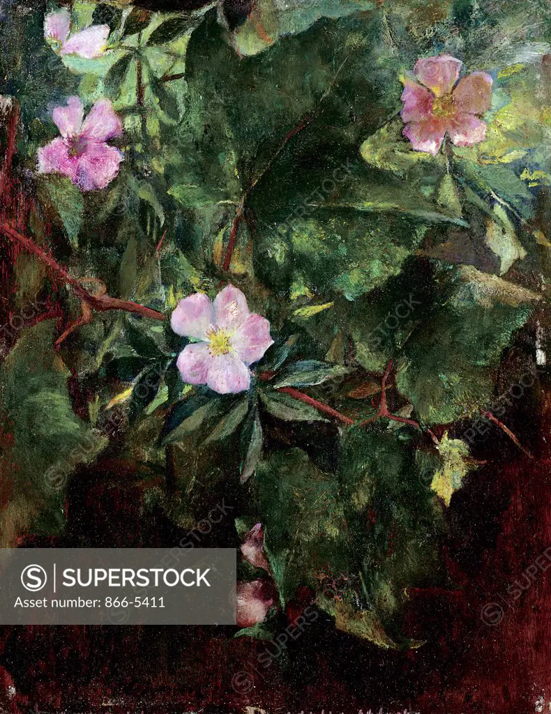 Wild Rose and Grape Vine, Study from Nature 1871 John La Farge (1835-1910 American) Oil on panel