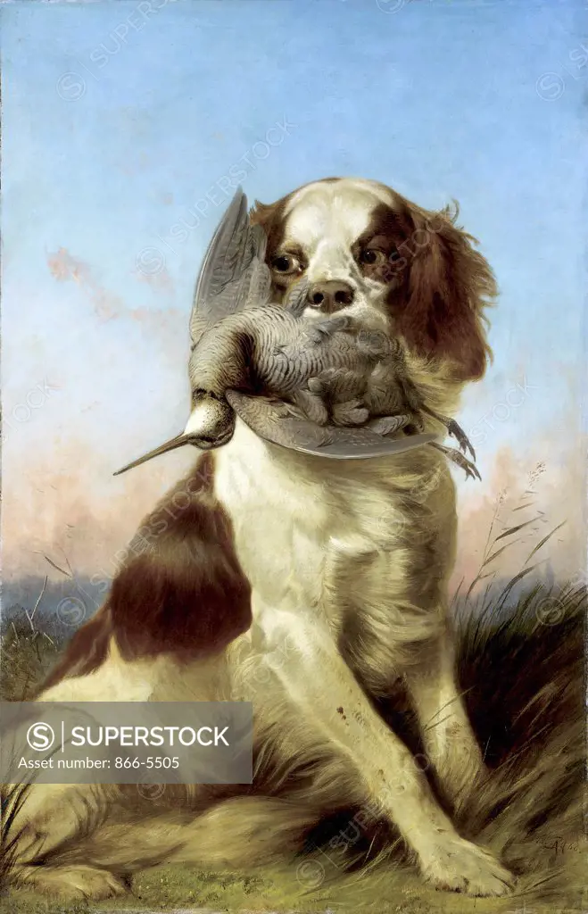 A Spaniel With A Woodchuck At Sunset Richard Ansdell (1815-1885 British) Oil on canvas