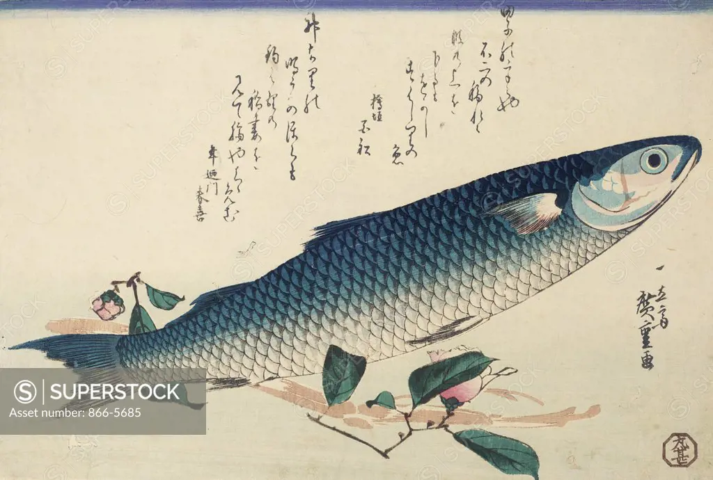 Design from a Large Fish Series, Signed Ichiryusai Hiroshige GA,Oban Yoko - E Utagawa Hiroshige (1797-1858 Japanese)