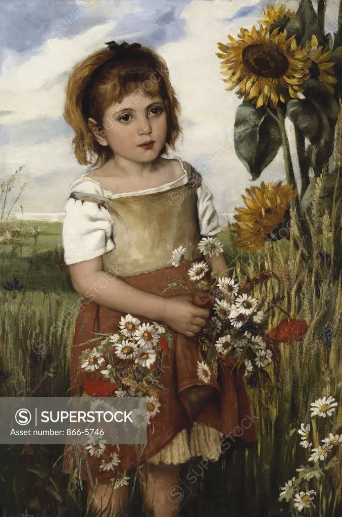 Flowers Of The Field, Emily S Readshaw (Late 19th Century), Oil On Canvas, 1883