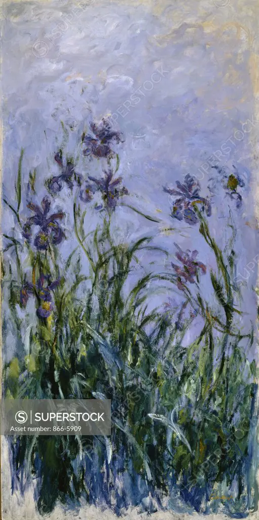 Iris Mauves.  Claude Monet (1840-1926).  Oil On Canvas, 1914-1917.