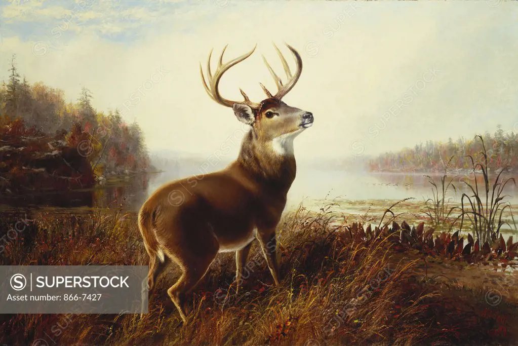 A Stag by a Lake. Arthur Fitzwilliam Tait (1819-1905). Dated 1873, oil on canvas, 51.4 x 76.8cm.