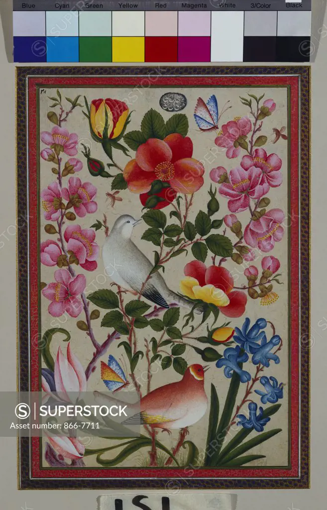 Bird and flower study. Gouache on paper. 19th century, Qajar, Persia. Miniature, 26 x 17cm.