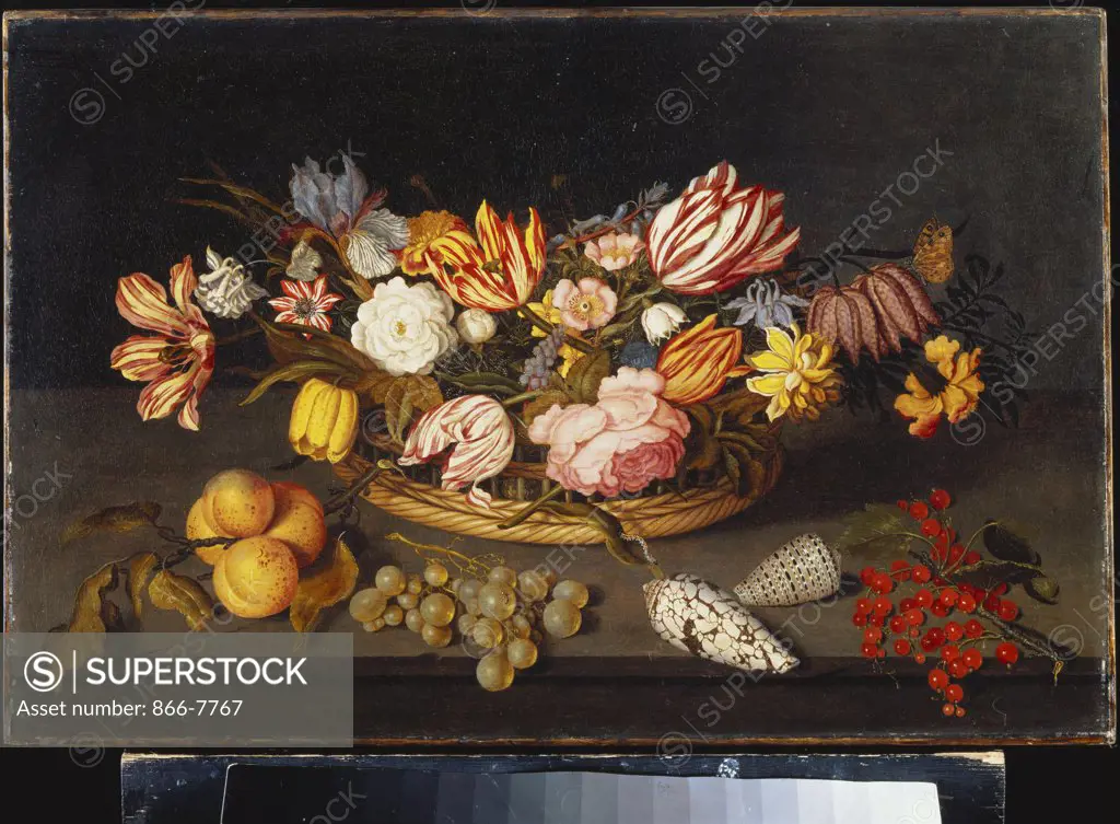 Tulips, Roses, an Iris, Fritillary and other Flowers in a Basket, with Shells, a Bunch of Grapes and Sprigs of Apricots and Redcurrants on a Stone Ledge. Johannes Bosschaert (1610/11-1628 or later). Dated 1624, oil on inset panel, 36.5 x 54.6cm.