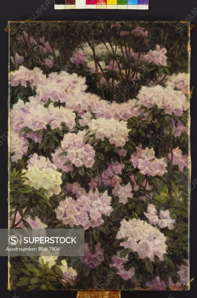 Rhododendrons. Alfrida Baadsgaard (1839-1912). Oil on canvas, 1890. 57.8 x 39.9cm.