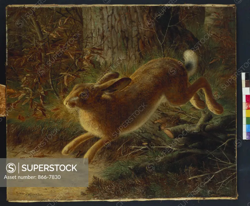 A Hare in a Landscape.  Emma Mulvad (1838-1903). Oil on canvas, dated 1882, 58.5 x 68.7cm.