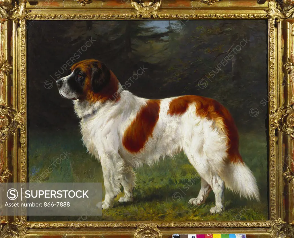 A St. Bernard on the edge of a Wood. Heinrich Sperling (1844-1924). Oil on canvas, 23 x 27 1/2 in.