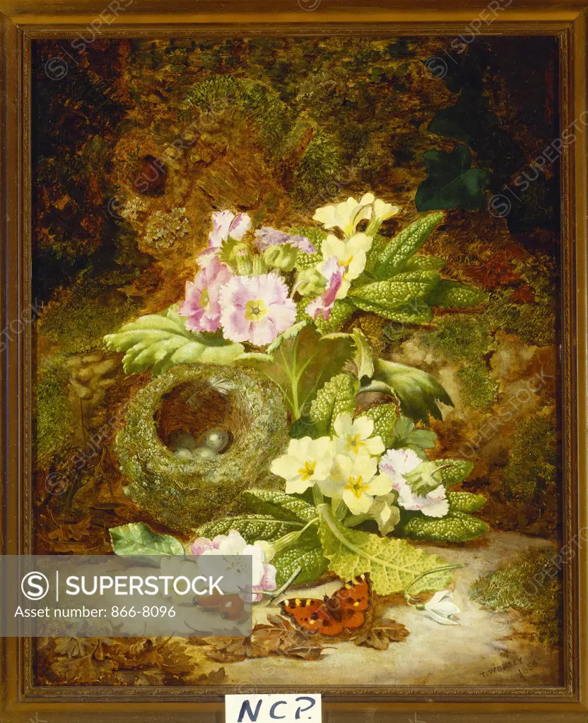 Primroses, Polyanthus, Apple Blossom and a Bird's Nest on a Mossy Bank.  Thomas Worsey (1829-1875).  Dated 1856, oil on canvas, 40.6 x 33cm.