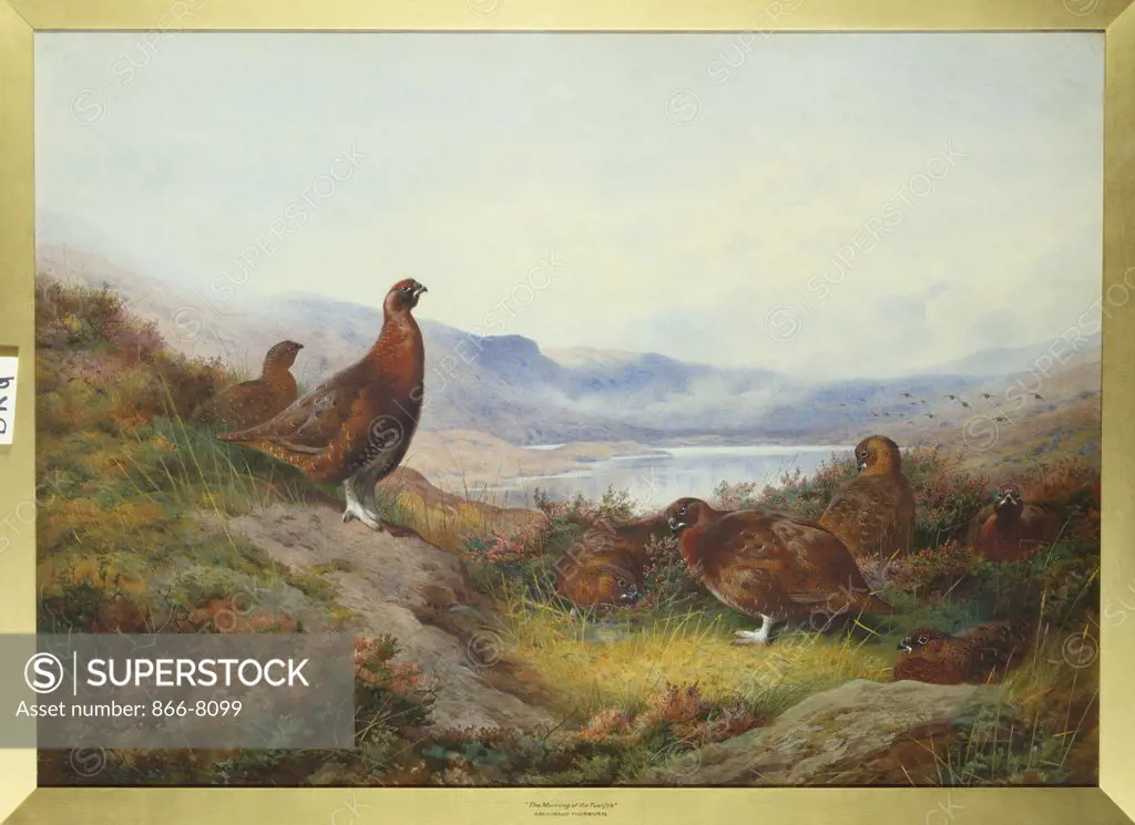 Morning of the Twelfth.  Archibald Thorburn (1860 -1935). Dated 1910, watercolour with touches of white heightening, 546 x 763mm.