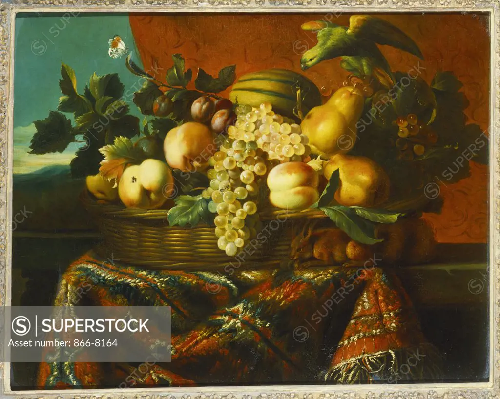 Grapes, Peaches, Plums, Pears and a Melon in a Basket with a Parakeet, a Red Squirrel and a Butterfly and other Insects on a Draped Ledge. Pierre Dupuis (1610-1682). Oil on canvas, 65.4 x 81.3cm.