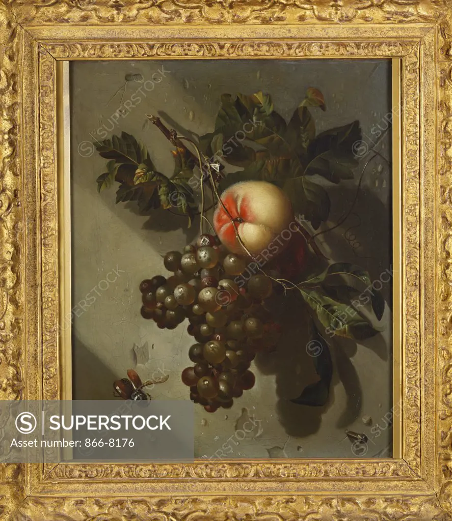 A Peach and a Bunch of Grapes Hanging from a Nail on a Wall. Willem Grasdorp  (1678-1723). Oil on panel, 40.8 x 33cm.