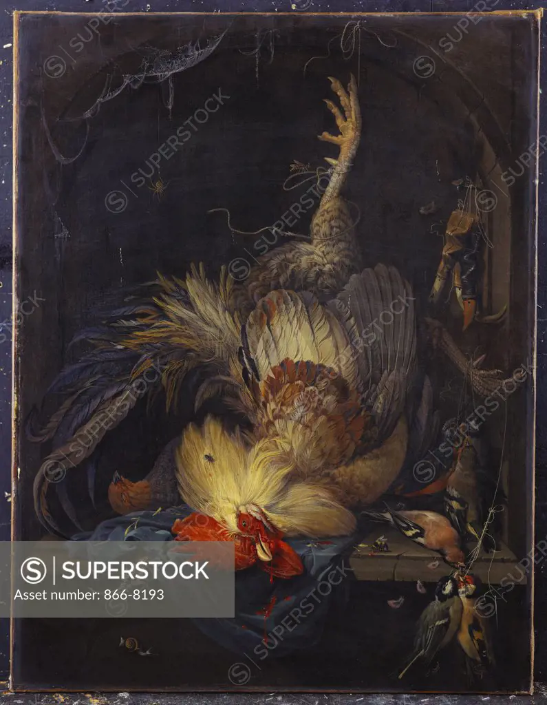 A Cockerel, a Partridge, Powder Horns, a Kingfisher and Song-birds Hanging in a Niche, with a Cobweb, a Snail and Insects. Abraham Mignon (1640-1679). Oil on canvas, 88 x 68cm.