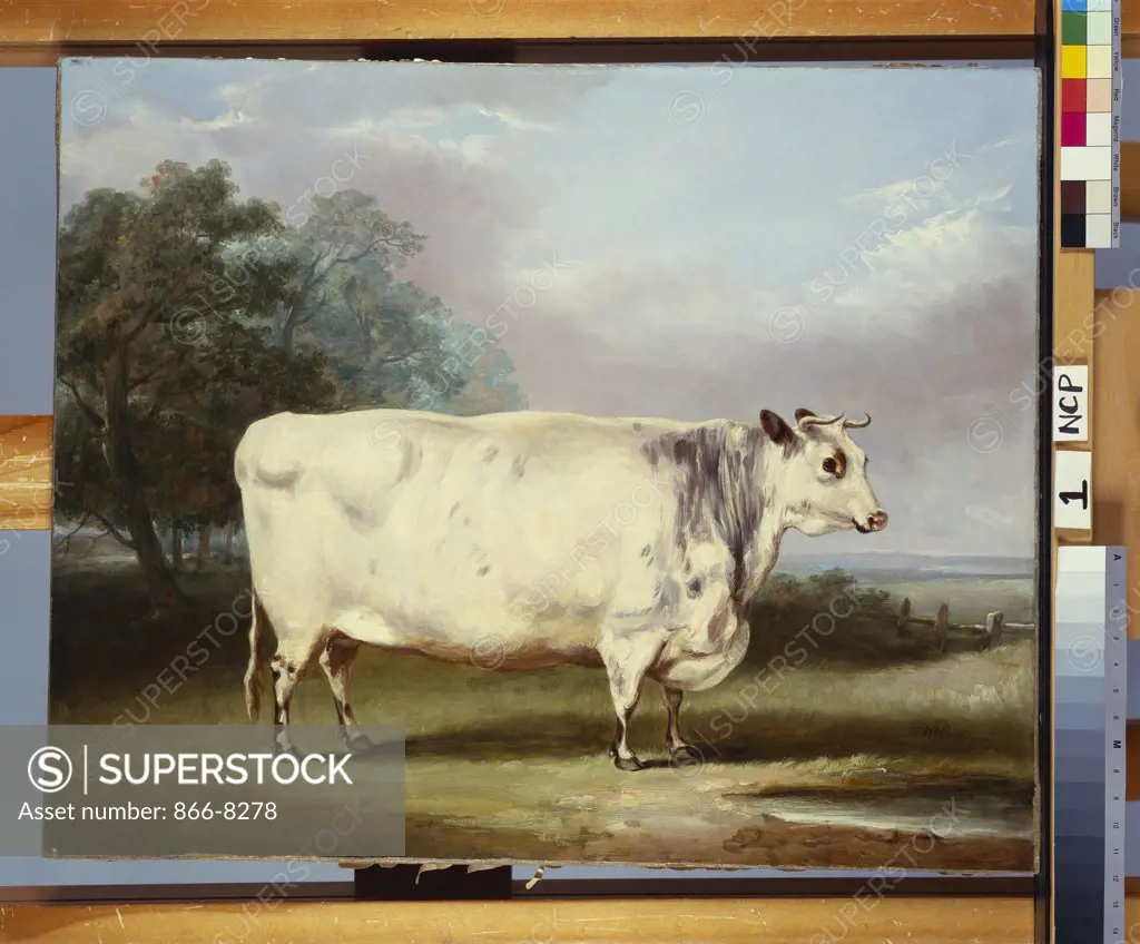 A Prize Cow. William Henry Davis (fl.1803-d.1865). Dated 1838, 55.8 x 68.6cm.