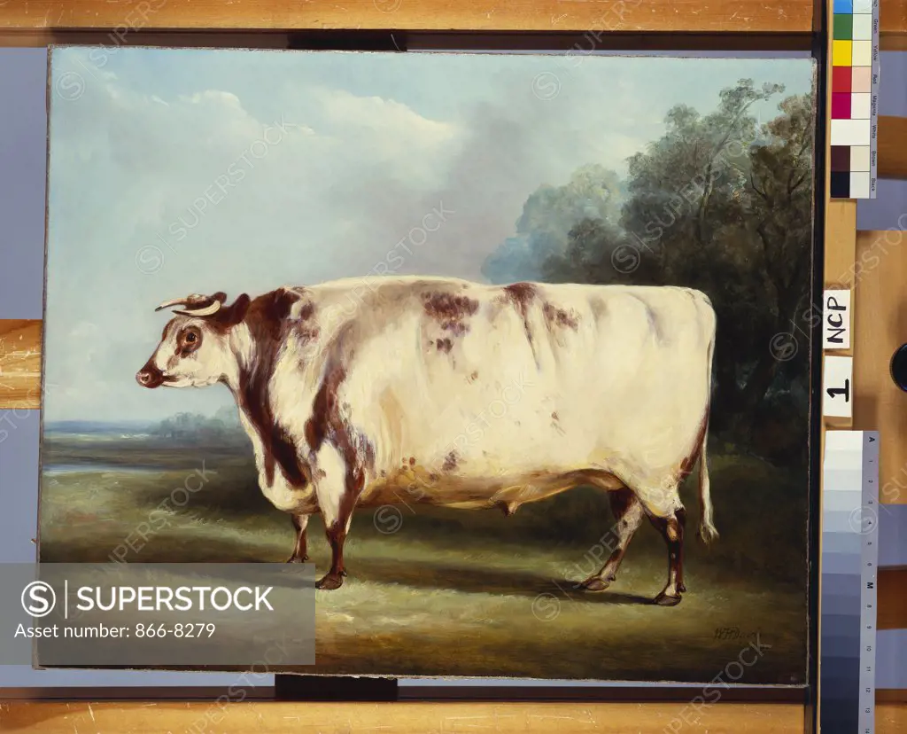 A Prize Bull. William Henry Davis (fl.1803-d.1865). Dated 1839, 55.8 x 68.6cm.