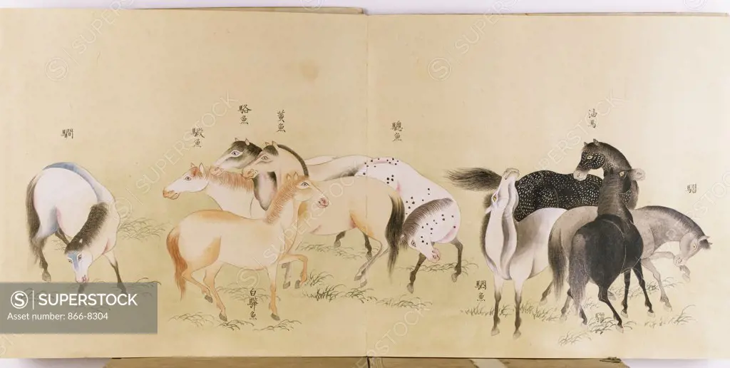 A Japanese Concertina Album in the Chinese Style depicting a Multitude of Horses. Ink and colour on paper, 31 x 67.2cm. Early 19th century.