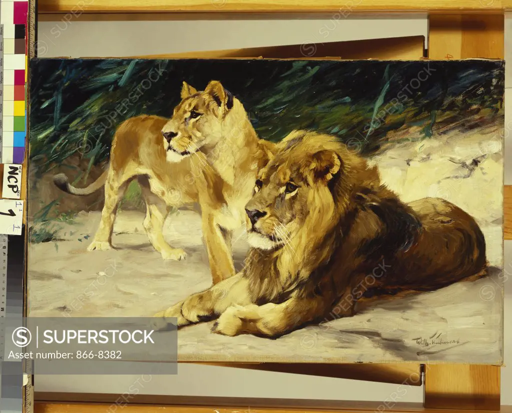Lion and Lioness; Lowenparr. Wilhelm Kuhnert (1865-1926). Oil on canvas, 44.4 x 69.8cm.
