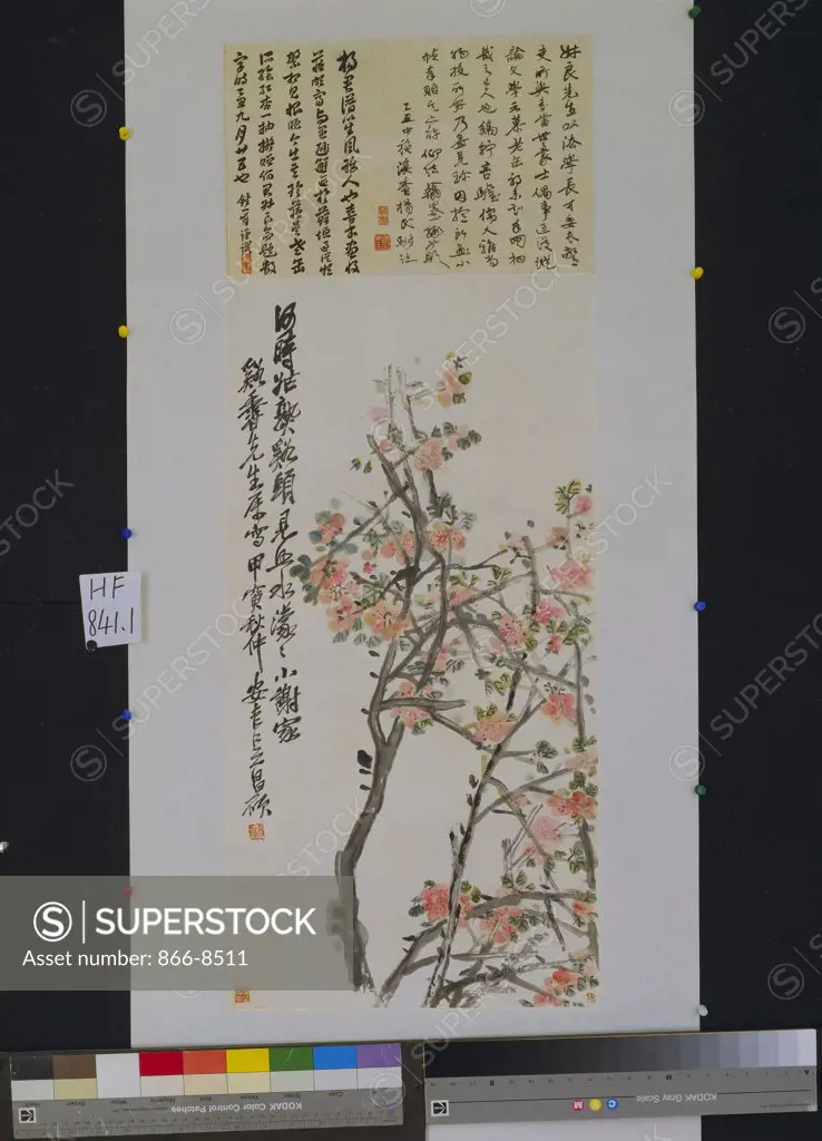 Apricot Blossoms. Wu Changshuo (1844-1927). Hanging scroll, ink and colour on paper. 67 x 34cm.