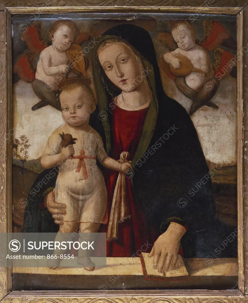 The Madonna and Child. Bernardino Fungai (c.1460-1516). Oil on panel, 82.2 x 67.3cm.