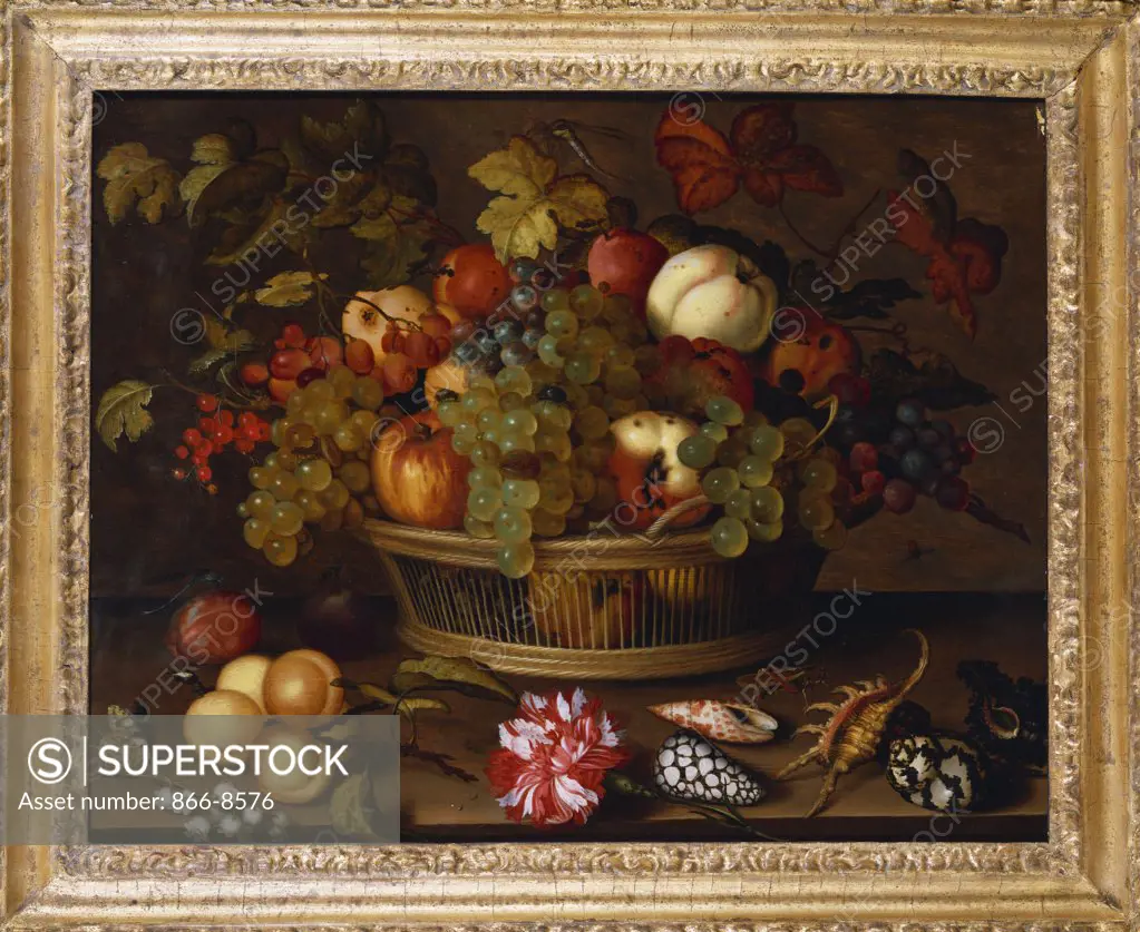 A Still Life of Grapes, Apples, a Peach and Plums in a Basket with Lily of the Valley, a Carnation, Fruit and Shells on a Ledge. Balthasar van der Ast (1594-1657). Oil on panel, 38.7 x 49cm.
