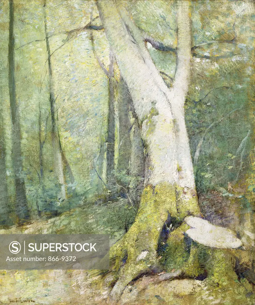 Interior Woodland. Soren Emil Carlsen (1853-1932). Oil on canvas. 46.2 x 38.4cm