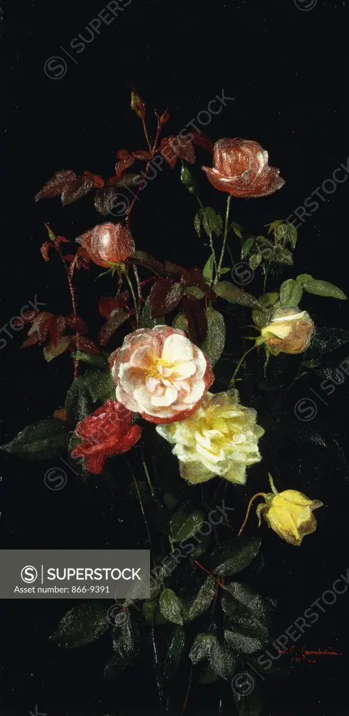 Roses. George Cochran Lambdin (1830-1896). Oil on panel. dated 1878.  61 x 30.5cm. One of a pair.