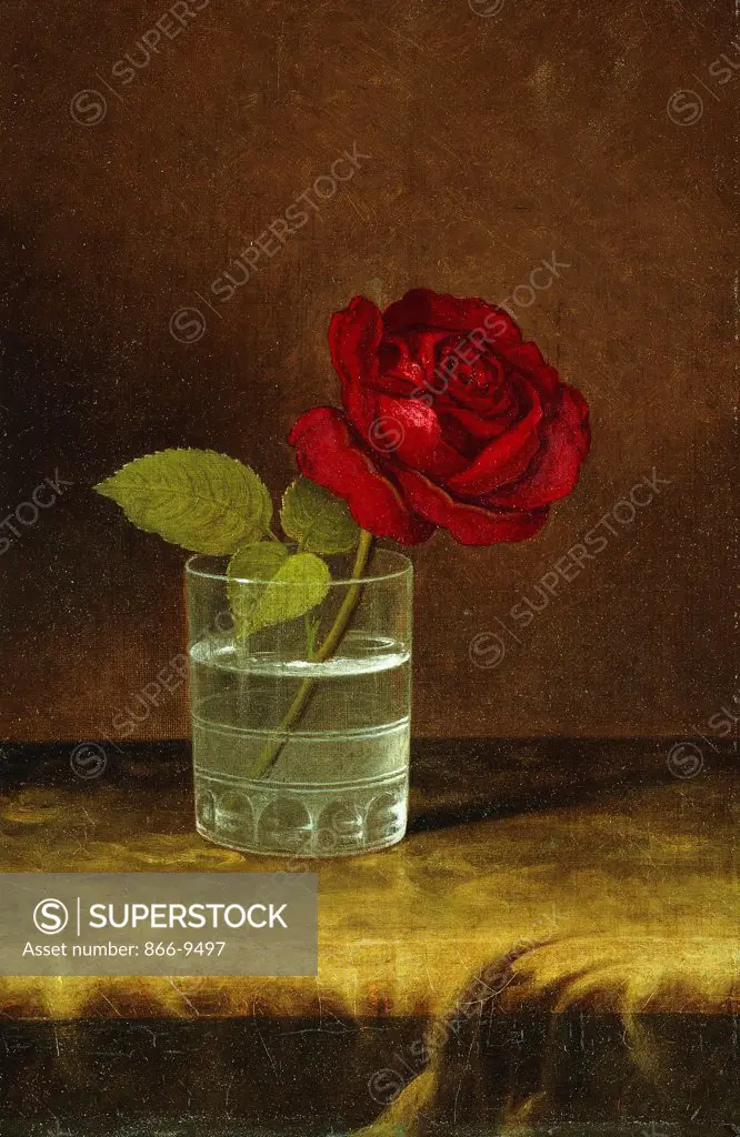 A Red Rose. Martin Johnson Heade (1819-1904). Oil on canvas. 38.1 x 25.4 cm.