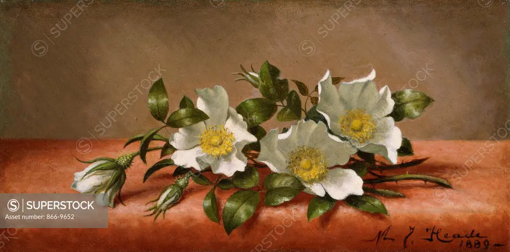 Cherokee Roses. Martin Johnson Heade (1819-1904). Oil on canvas. Signed and dated 1889. 21.5 x 42cm