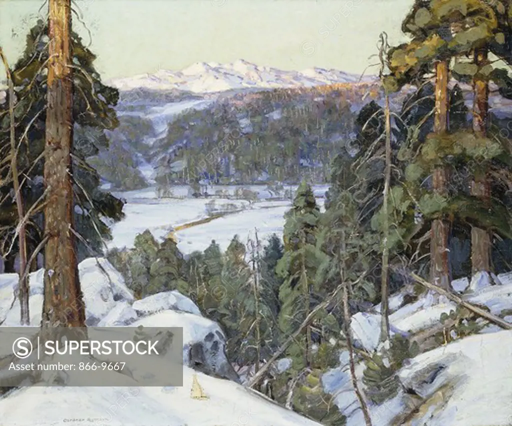 Pines in Winter. George Gardner Symons (1863-1930). Oil on canvas. 76.2 x 91.4cm