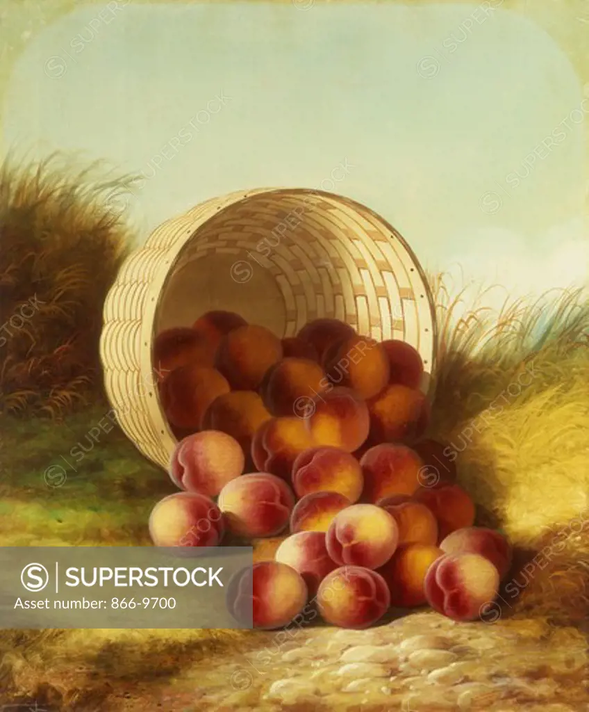 Peaches in a  Basket. Carducius Plantagenet Ream (1837-1917). Oil on canvas. 76.5 x 64cm