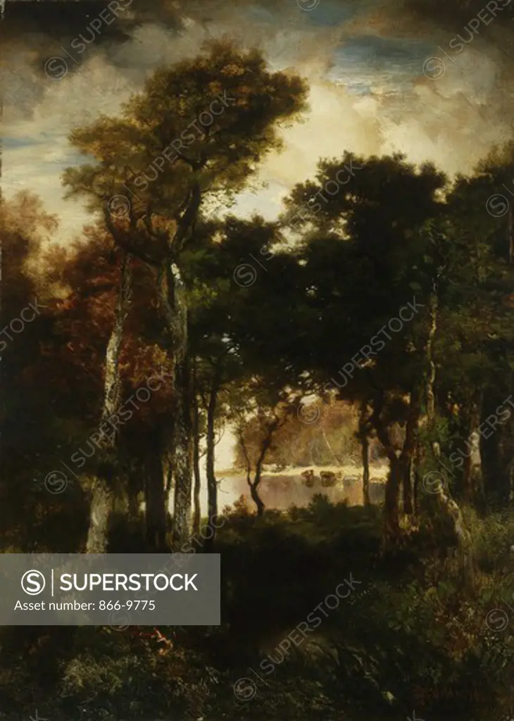 Woods by a River. Thomas Moran (1837-1926). Oil on canvas. Signed and dated, 1886. 35.6 x 25.5cm.