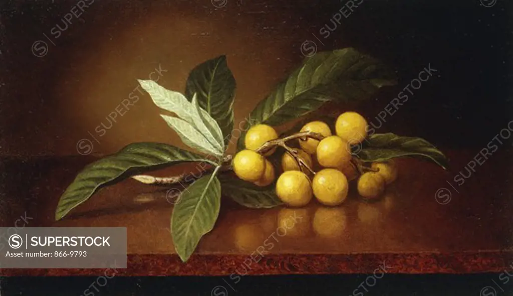 Tropical Plums. Martin Johnson Heade (1819-1904). Oil on canvas. 30.6 x 50.9cm