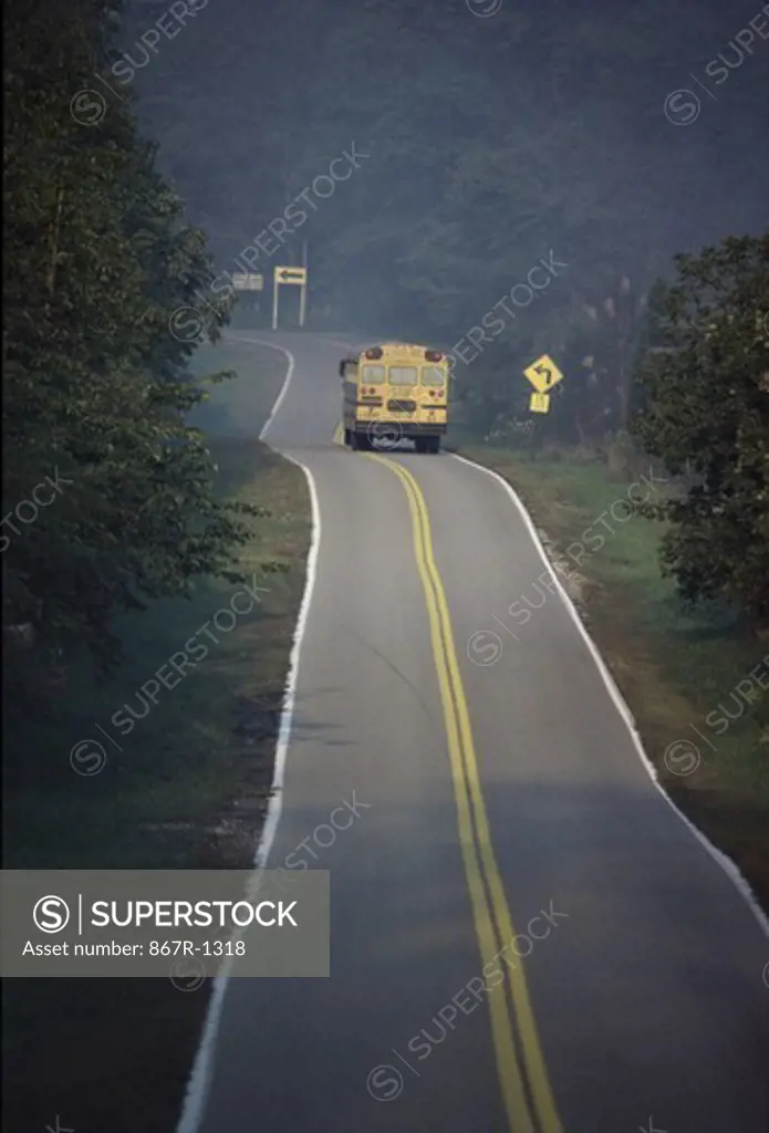 School bus on the road