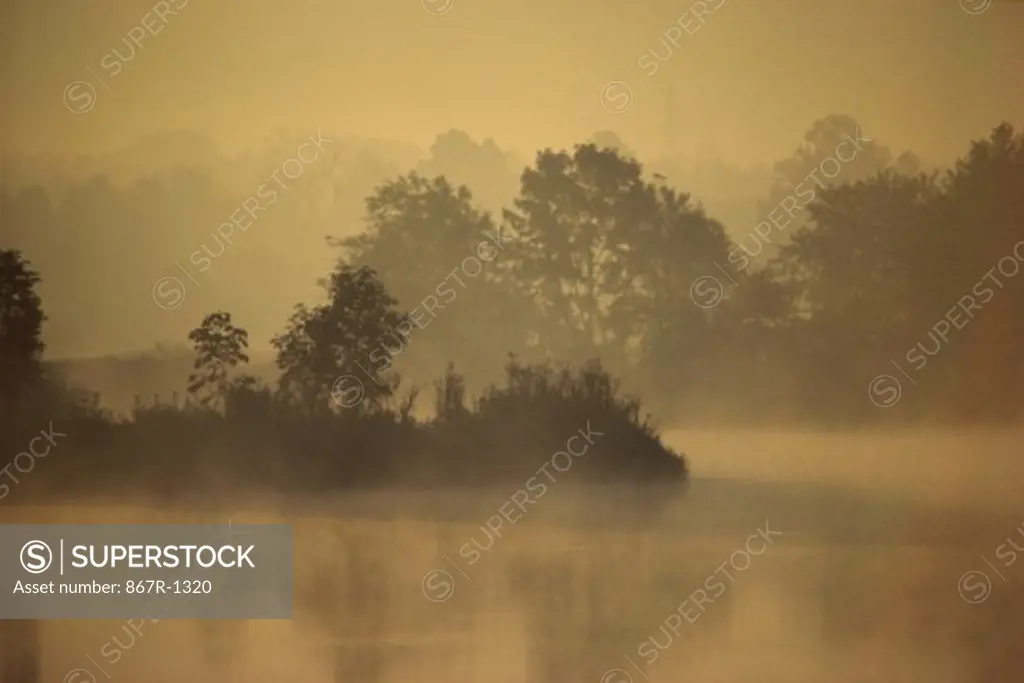 Fog over a lake