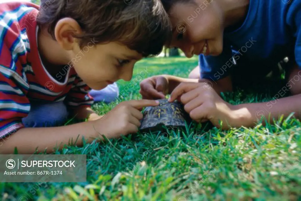 Side profile of two boys playing with a turtle