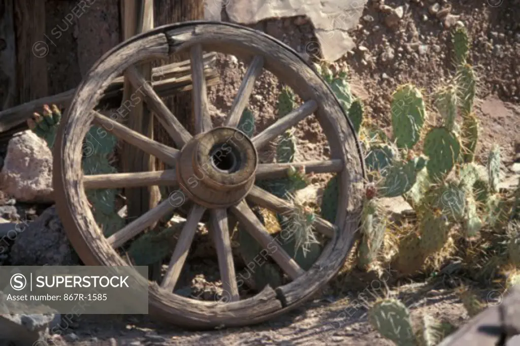 Wooden wagon wheel in front of a cactus
