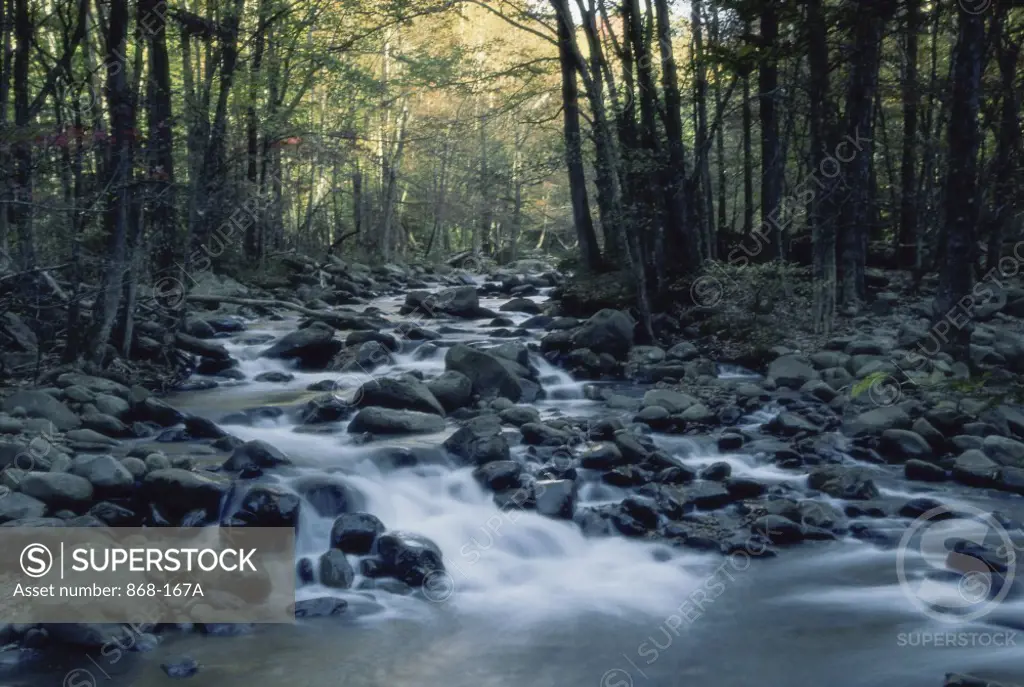 Roaring Fork River  Great Smoky Mountains National Park  Tennessee  USA