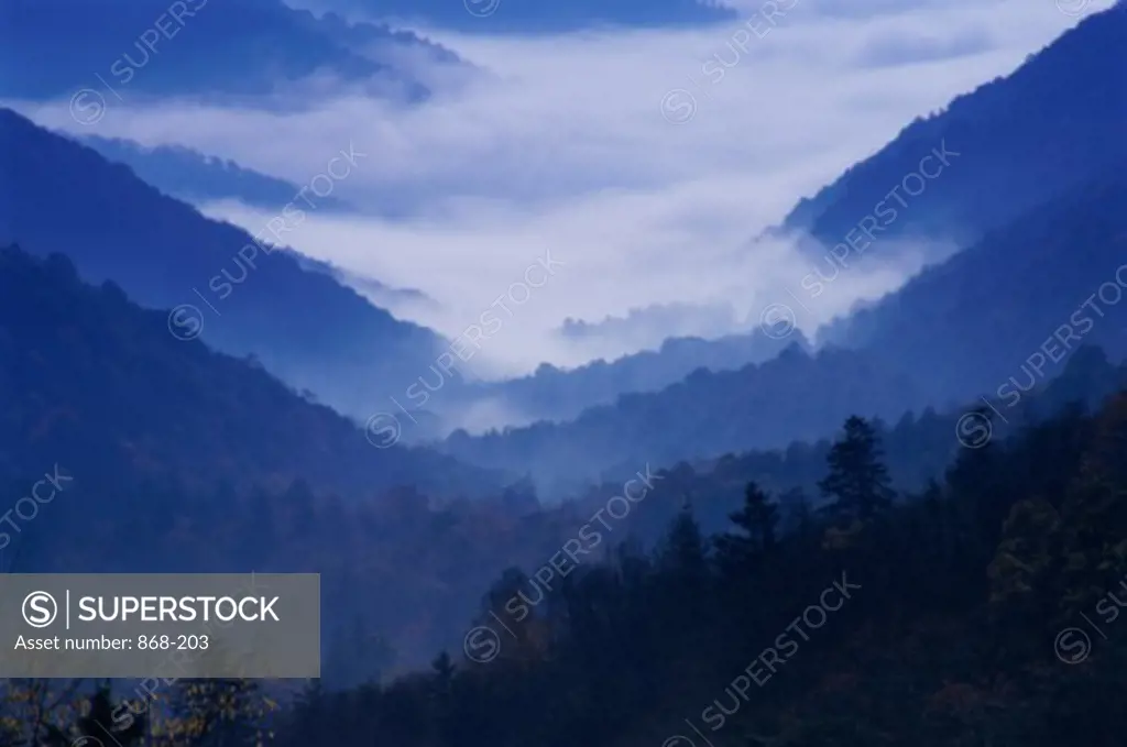 Newfound Gap Great Smoky Mountains National Park  Tennessee, USA