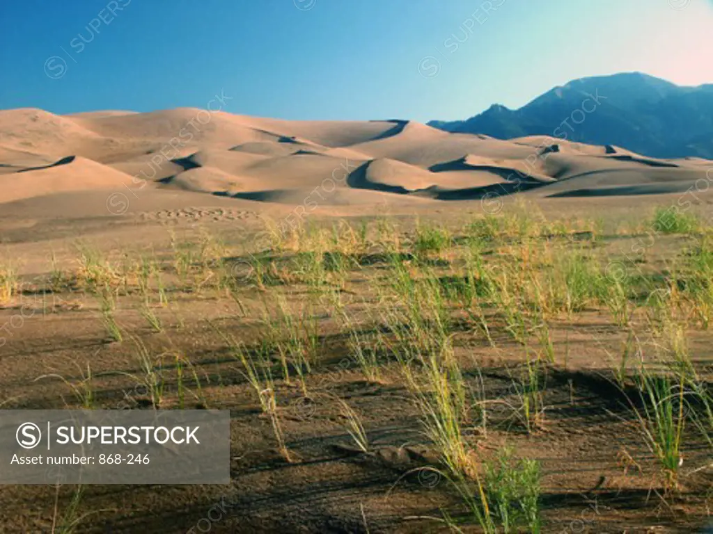 Panoramic view of a landscape, Great Sand Dunes National Monument, Colorado, USA