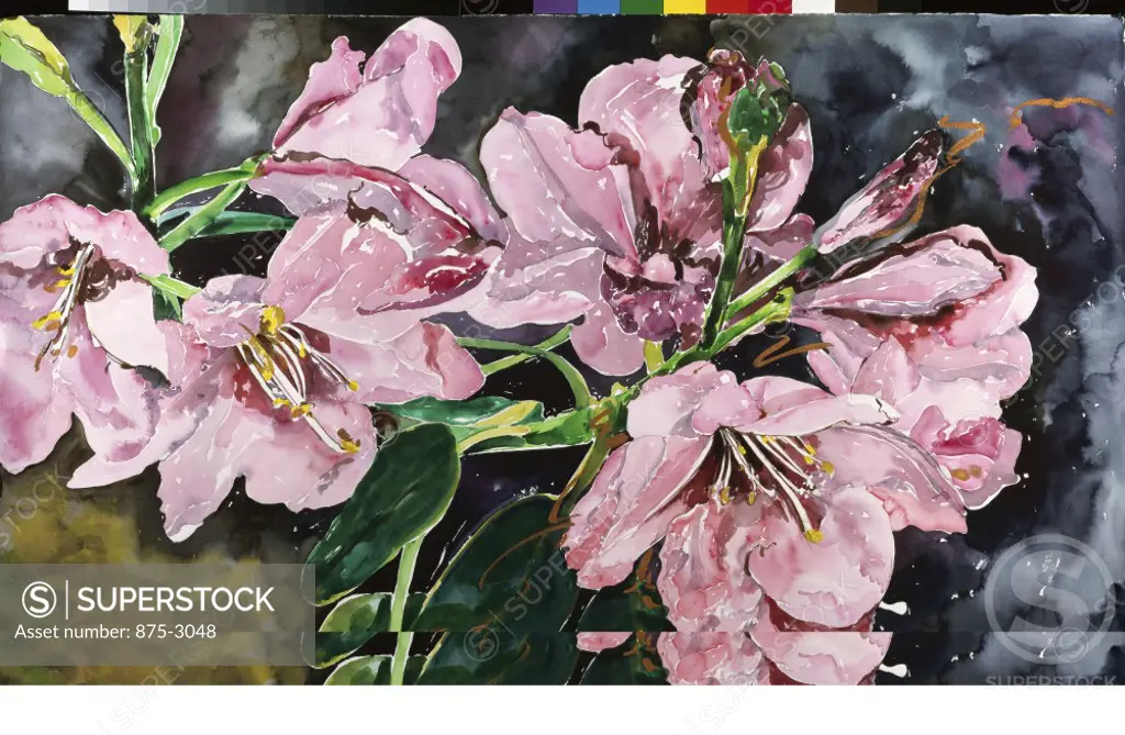 Rhododendron Blossoms 1994 John Bunker (20th C. American) Watercolor