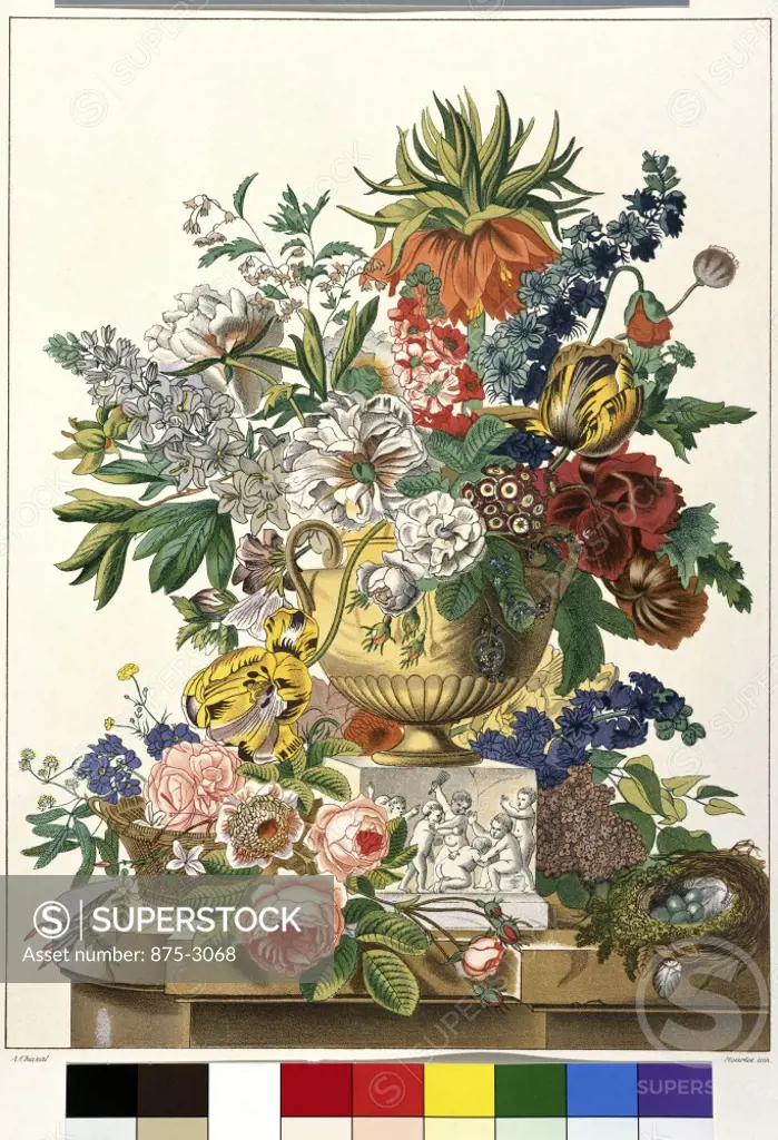 Picturesque Flora  (Flore Pittoresque)  1818  Antoine Chazal (1793-1854/French)  Lithograph Private Collection 