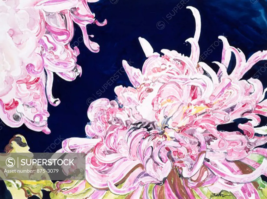 Chrysanthemums 1991 John Bunker (20th C. American) Watercolor