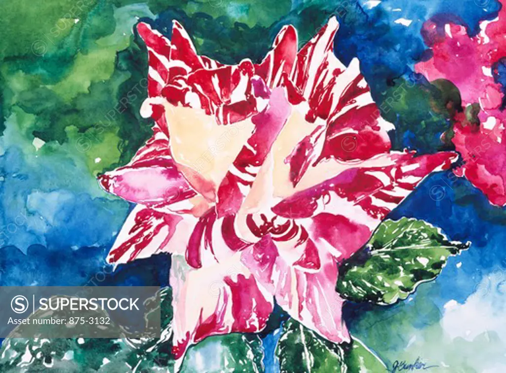 Rose Three by John Bunker, watercolor, 1993, 20th Century, Private Collection