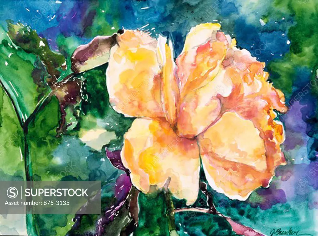 Rose Five by John Bunker, watercolor, 1993, 20th Century, Private Collection