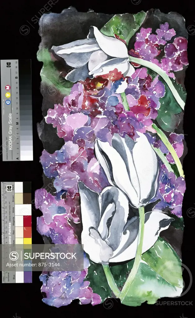White Tulips and Hydrangeas, 1995, John Bunker (20th C./American), Watercolor