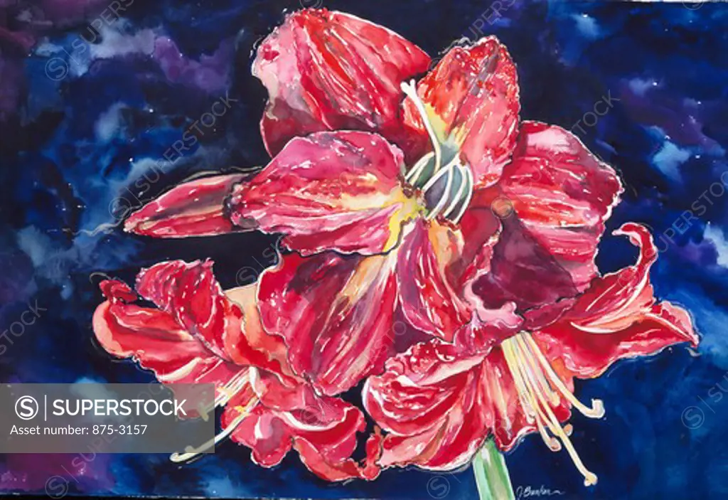 Amaryllis Rouge II, 1995, John Bunker (20th C. American), Watercolor on paper, Private Collection
