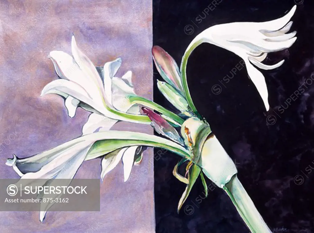 Bipolar Yard Lily, 1995, John Bunker (20th C. American), Acrylic and watercolor, Private Collection