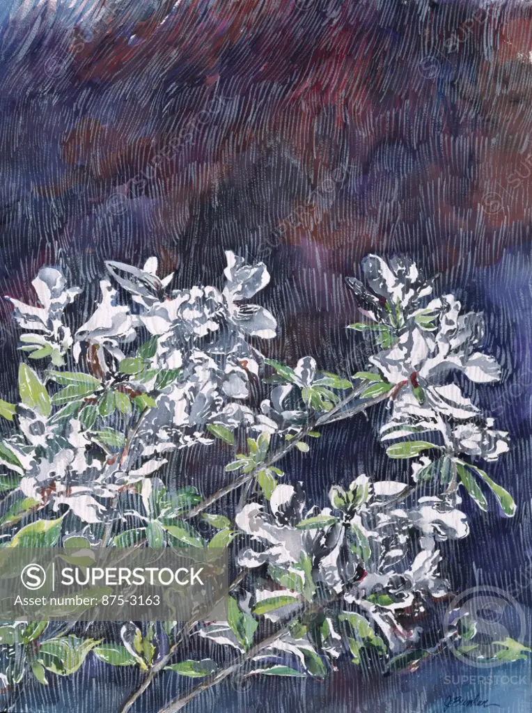 Raining White Azaleas, John Bunker, watercolour and acrylic, 1995, 20th Century, Private Collection