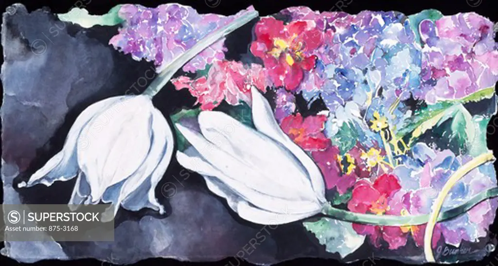 White Tulips and Hydrangeas II, 1995, John Bunker (20th C. American), Watercolor on paper, Private Collection